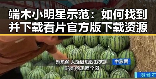 端木小明星示范：如何找到并下载看片官方版下载资源