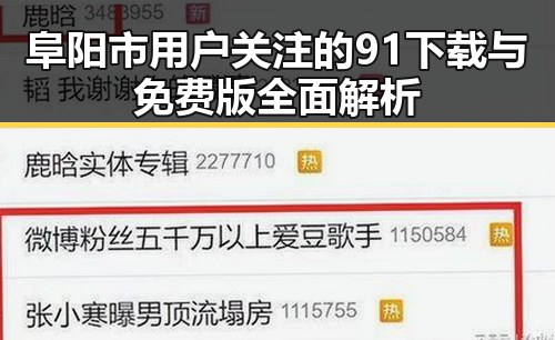 阜阳市用户关注的91下载与免费版全面解析