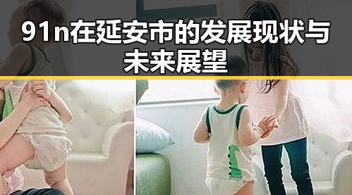 91n在延安市的发展现状与未来展望