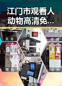 江门市观看人动物高清免费观看普通话官方版的最新指南