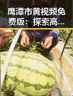 鹰潭市黄视频免费版:探索高清免费观看的最新动态