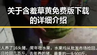 关于含羞草黄免费版下载的详细介绍