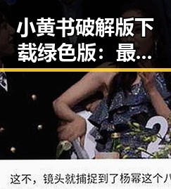 小黄书破解版下载绿色版：最新体验与安全指南