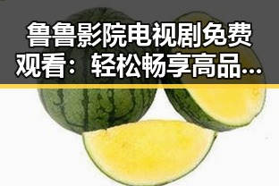 鲁鲁影院电视剧免费观看:轻松畅享高品质剧集攻略
