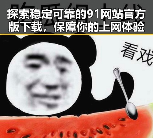 探索稳定可靠的91网站官方版下载,保障你的上网体验