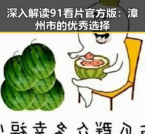 深入解读91看片官方版：漳州市的优秀选择