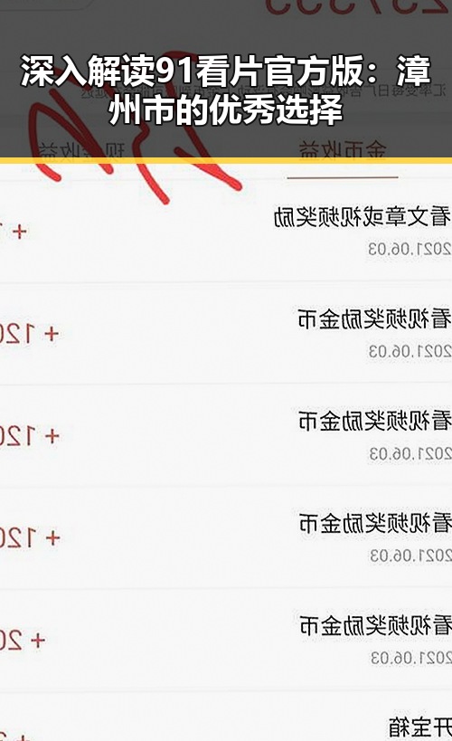 深入解读91看片官方版：漳州市的优秀选择