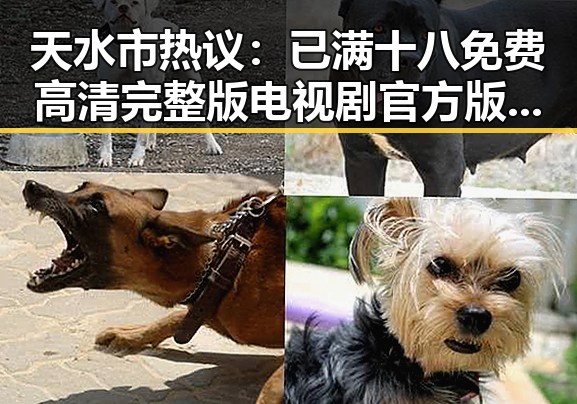 天水市热议：已满十八免费高清完整版电视剧官方版引发讨论
