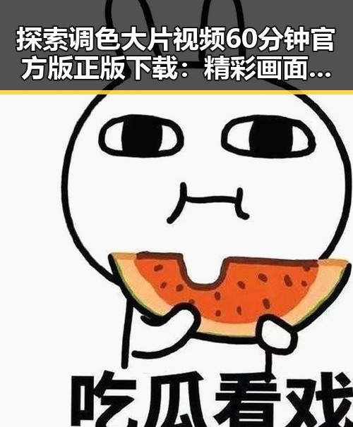 探索调色大片视频60分钟官方版正版下载:精彩画面尽在其中