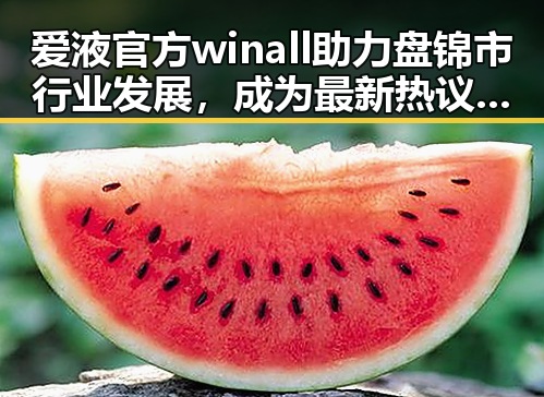 爱液官方winall助力盘锦市行业发展，成为最新热议焦点