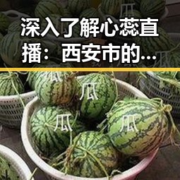 深入了解心蕊直播：西安市的新兴直播平台现象