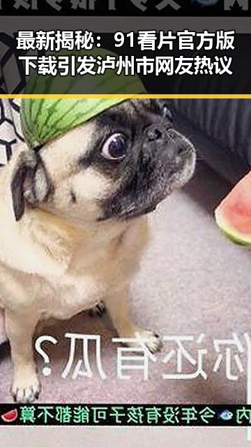 最新揭秘：91看片官方版下载引发泸州市网友热议