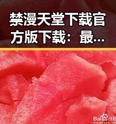 禁漫天堂下载官方版下载:最新资源指南解析