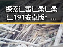 探索辶臿辶喿辶喿辶191安卓版：林芝市的全新体验
