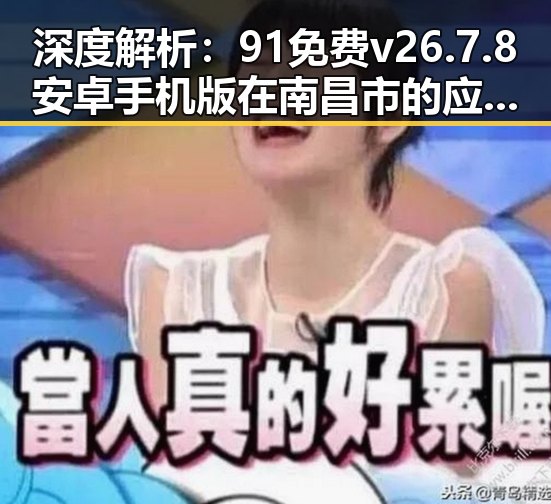 深度解析:91免费v26.7.8 安卓手机版在南昌市的应用与发展