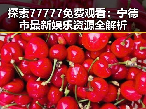 探索77777免费观看：宁德市最新娱乐资源全解析