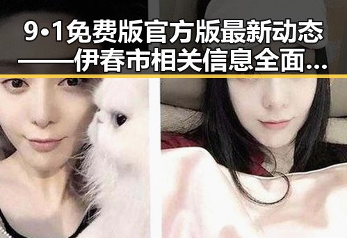 9·1免费版官方版最新动态——伊春市相关信息全面解析