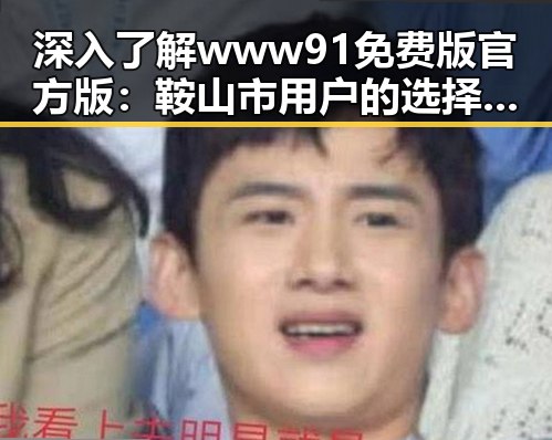 深入了解www91免费版官方版：鞍山市用户的选择指南