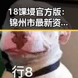 18馃埐官方版:锦州市最新资讯全面解析