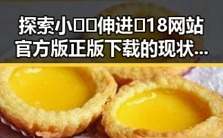 探索小🐔🐔伸进🈲18网站官方版正版下载的现状与影响