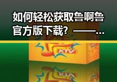 如何轻松获取鲁啊鲁官方版下载?——淮安市用户指南