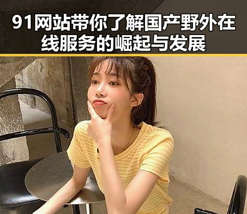 91网站带你了解国产野外在线服务的崛起与发展