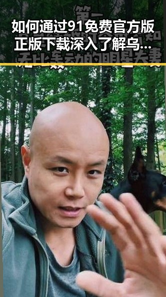 如何通过91免费官方版正版下载深入了解乌兰察布市的明星互动文化