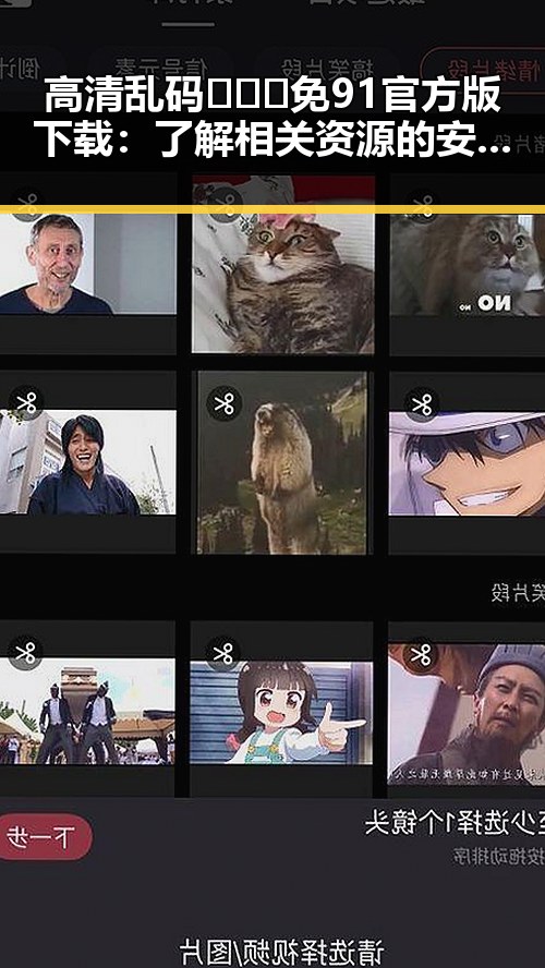 高清乱码🔞❌♋免91官方版下载:了解相关资源的安全性与风险