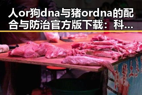 人or狗dna与猪ordna的配合与防治官方版下载:科技在动物遗传中的新动态