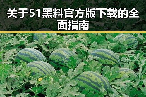 关于51黑料官方版下载的全面指南