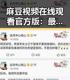 麻豆视频在线观看官方版：最新资源现状与使用指南