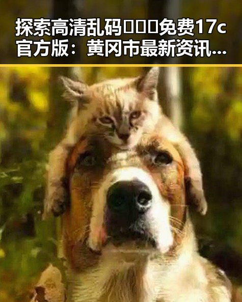 探索高清乱码🔞❌♋免费17c官方版：黄冈市最新资讯与指南