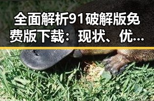 全面解析91破解版免费版下载：现状、优势与风险