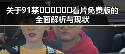 关于91禁🍆🍑🔞❌❌❌看片免费版的全面解析与现状