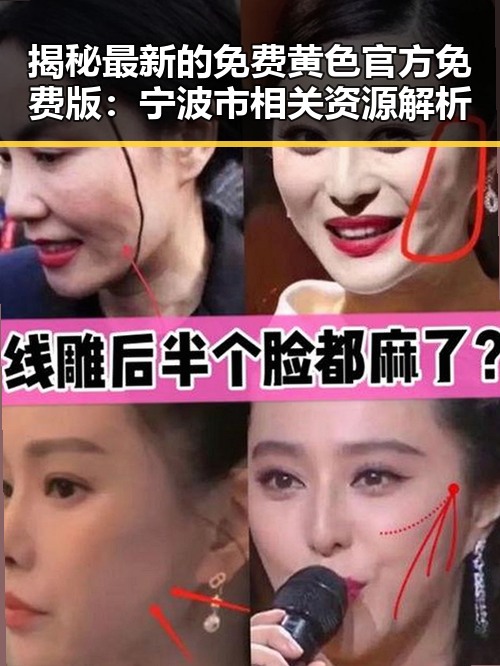 揭秘最新的免费黄色官方免费版:宁波市相关资源解析