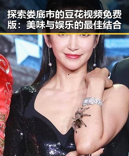 探索娄底市的豆花视频免费版：美味与娱乐的最佳结合