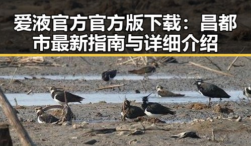 爱液官方官方版下载：昌都市最新指南与详细介绍