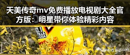 天美传奇mv免费播放电视剧大全官方版：明星带你体验精彩内容
