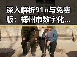 深入解析91n与免费版：梅州市数字化服务新趋势