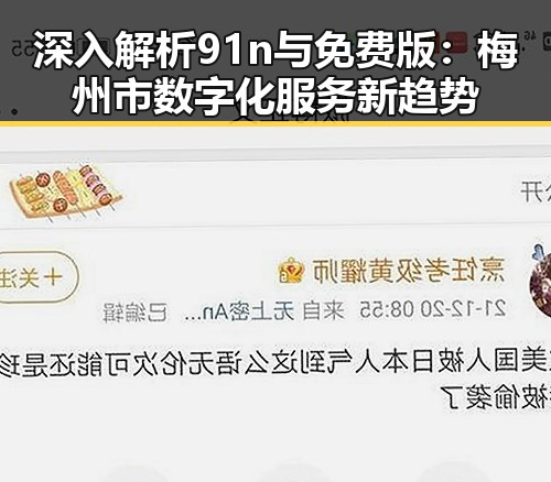 深入解析91n与免费版:梅州市数字化服务新趋势
