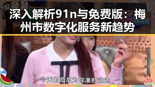 深入解析91n与免费版:梅州市数字化服务新趋势