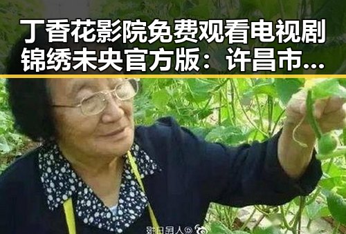 丁香花影院免费观看电视剧锦绣未央官方版:许昌市观众的新宠