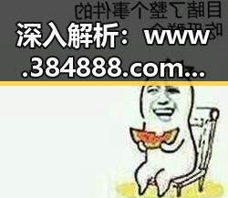 深入解析:www.384888.com网站历史记录查询背后的意义