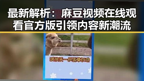最新解析：麻豆视频在线观看官方版引领内容新潮流