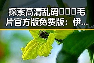 探索高清乱码🔞❌♋毛片官方版免费版：伊春市的最新动态