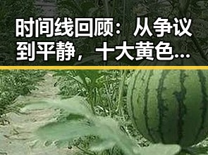 时间线回顾：从争议到平静，十大黄色软件官方版在清远市的变化