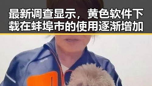 最新调查显示,黄色软件下载在蚌埠市的使用逐渐增加