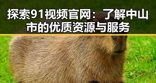 探索91视频官网:了解中山市的优质资源与服务