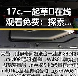 17c.一起草🌿在线观看免费:探索娱乐圈吃瓜态度与网民反应