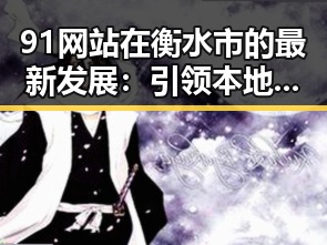 91网站在衡水市的最新发展：引领本地数字化转型